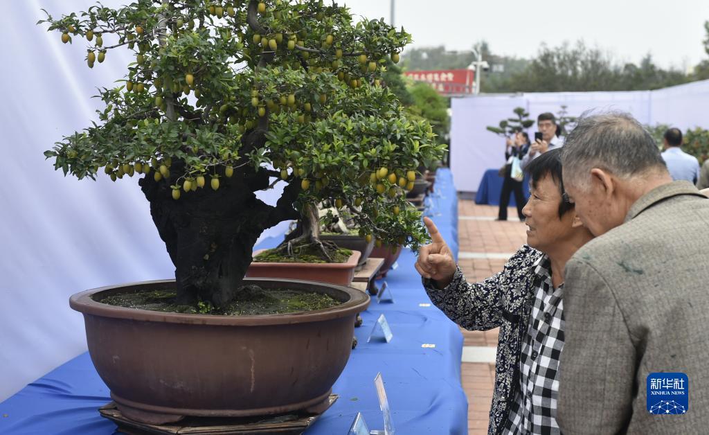 太陽城首页